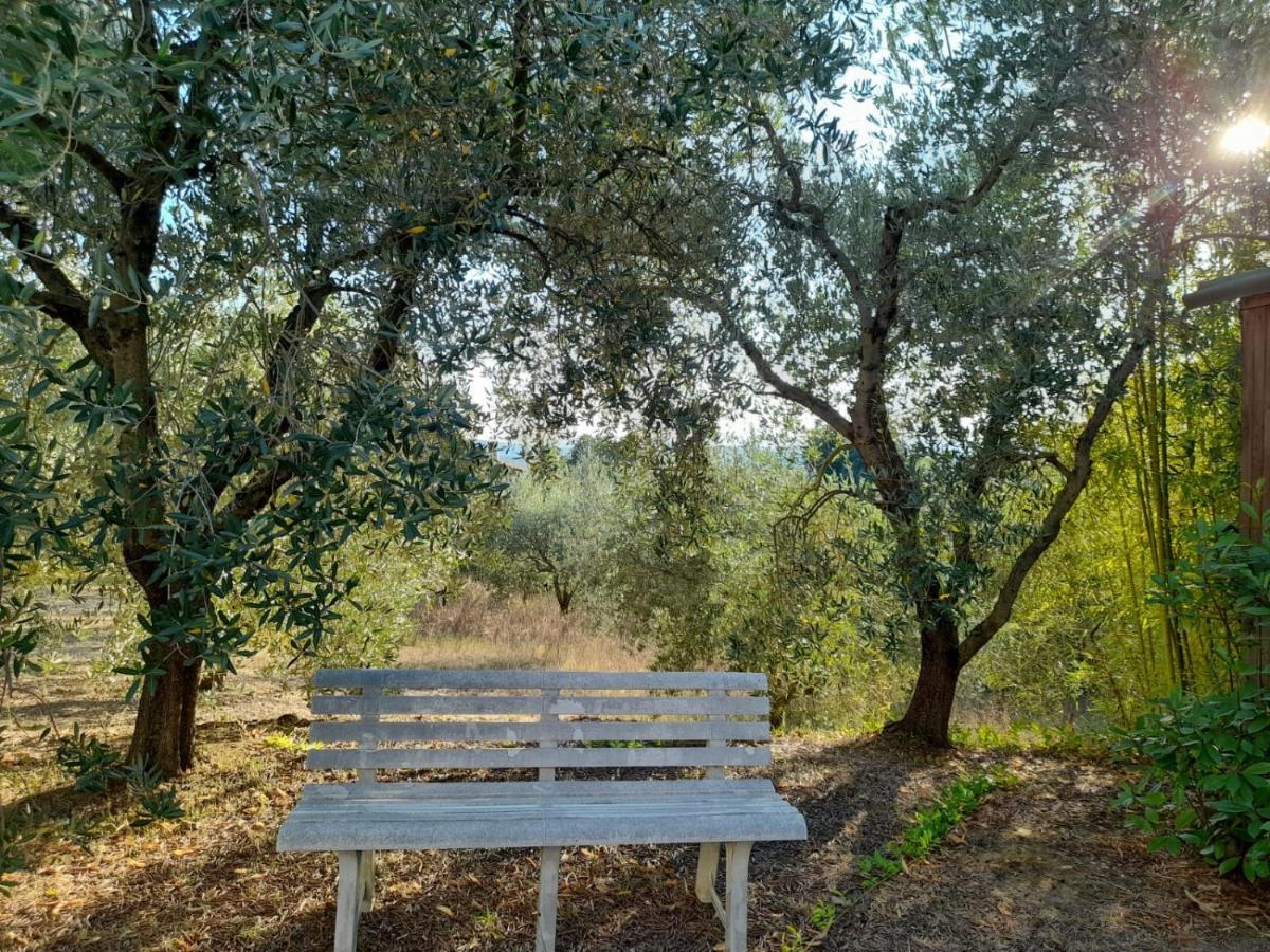 8380 Il Tiglio Verde Manciano Extérieur photo