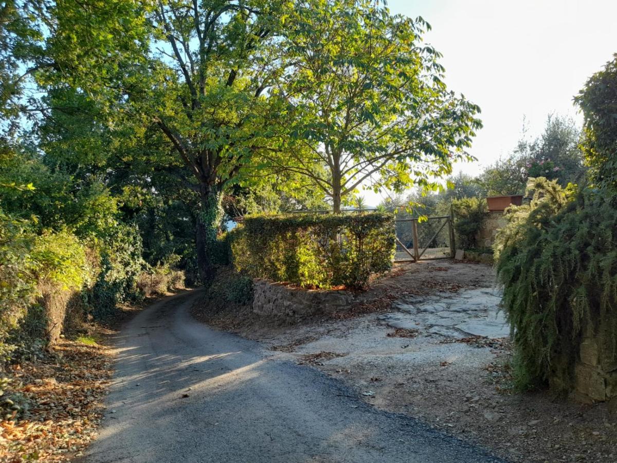 8380 Il Tiglio Verde Manciano Extérieur photo